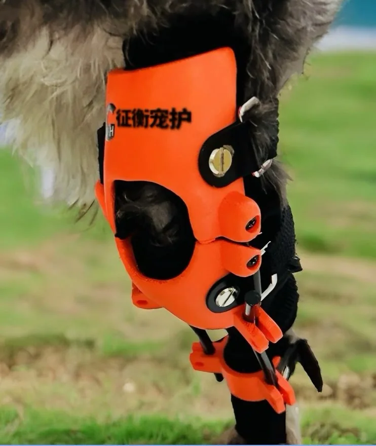Rear-Leg Support Brace shown in the original product photograph
